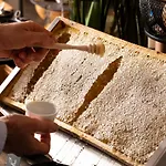Saint-delis - La Maison Du Peintre - Relais & Chateaux 酒店 5*